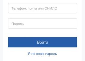 Вход в Госключ через Госуслуги