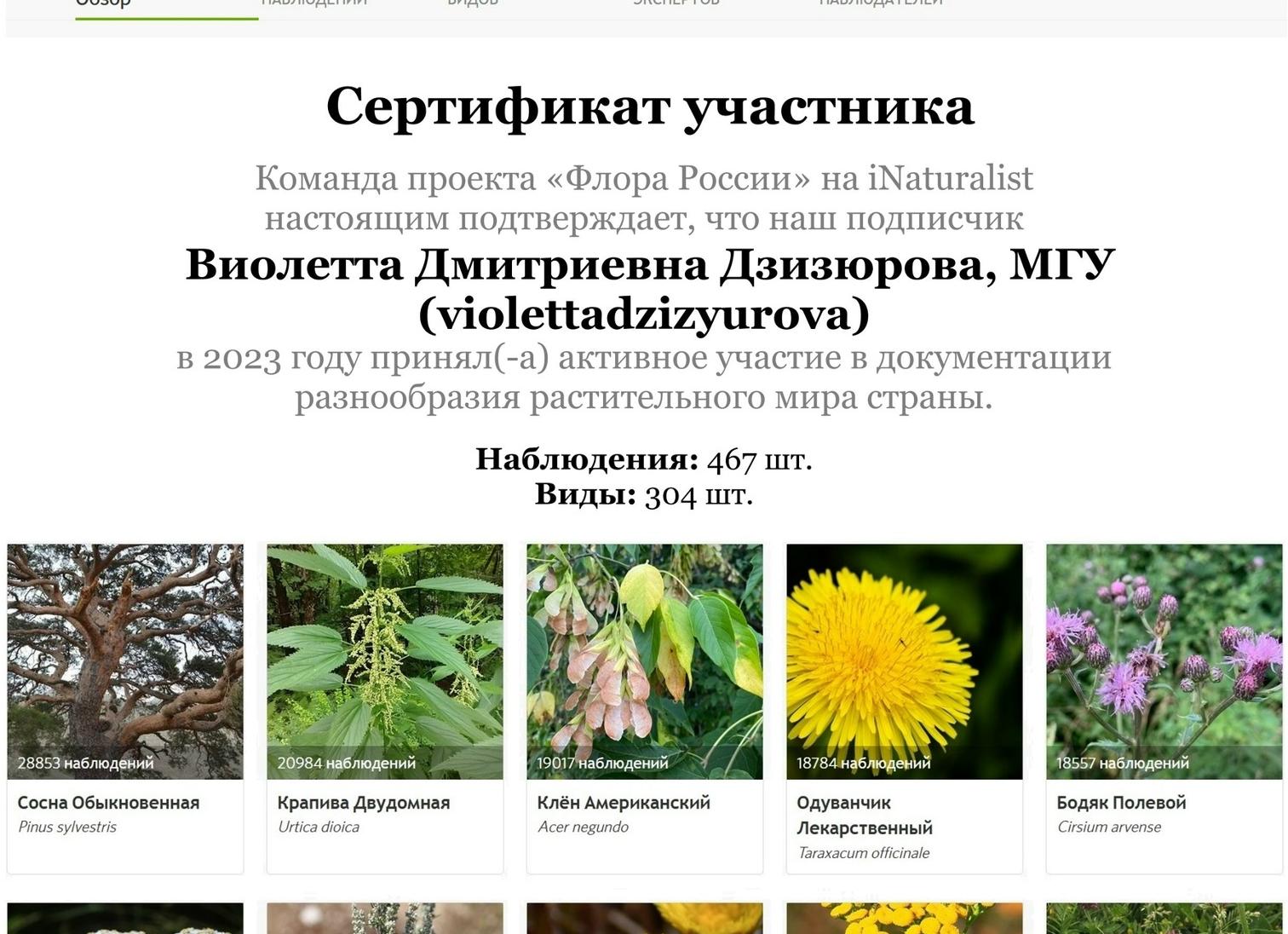 Перечень действующих подписок