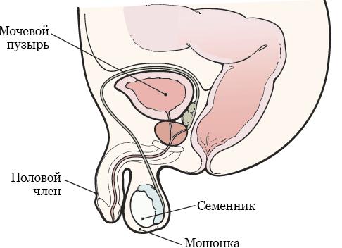 Уменьшение системного раздела и подготовка месма для нового раздела