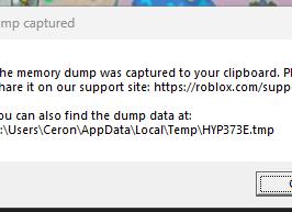 Временные файлы Роблокс